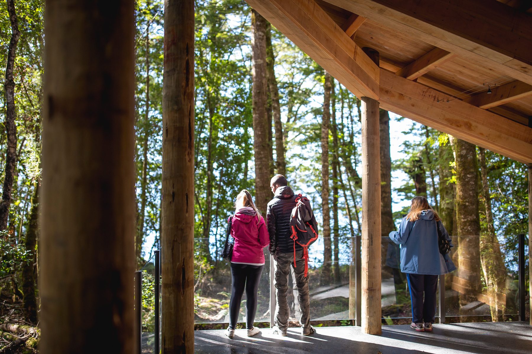 Visitors at the timber Cavern House in native forest