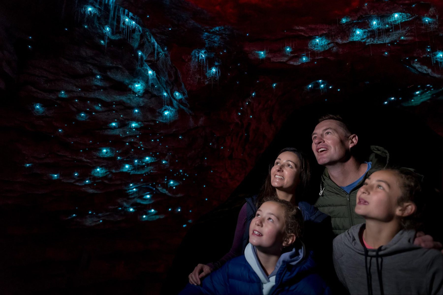 Family looking up at blue-green glowworms in the Te Anau cave grotto